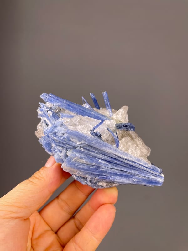 Kyanite specimen from Brazil, defined by blue striated blades in quartz
