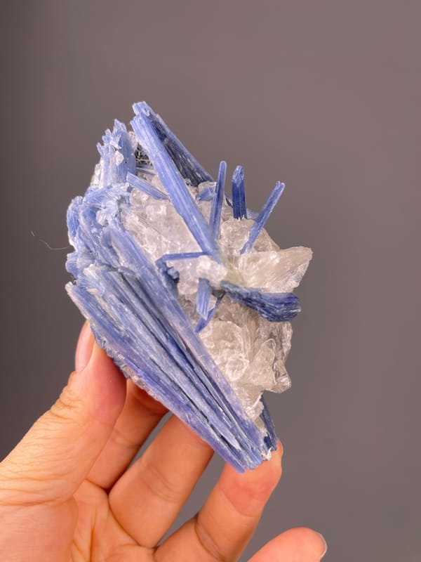 Kyanite specimen from Brazil presenting blue striated blades in quartz