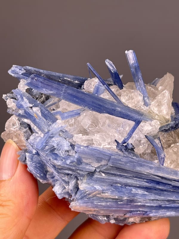 Blue striated blades in quartz visible on kyanite specimen from Brazil