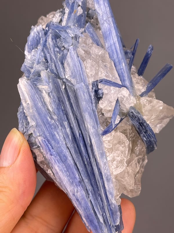 Kyanite specimen from Brazil highlighting blue striated blades in quartz