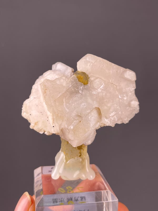 Pale pink calcite and smoky quartz on manganese-bearing calcite, Dong Ujimqin Banner, Inner Mongolia, China
