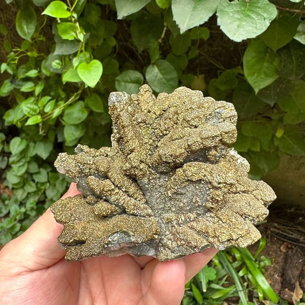 Golden radiating marcasite on calcite plate from Guizhou, China