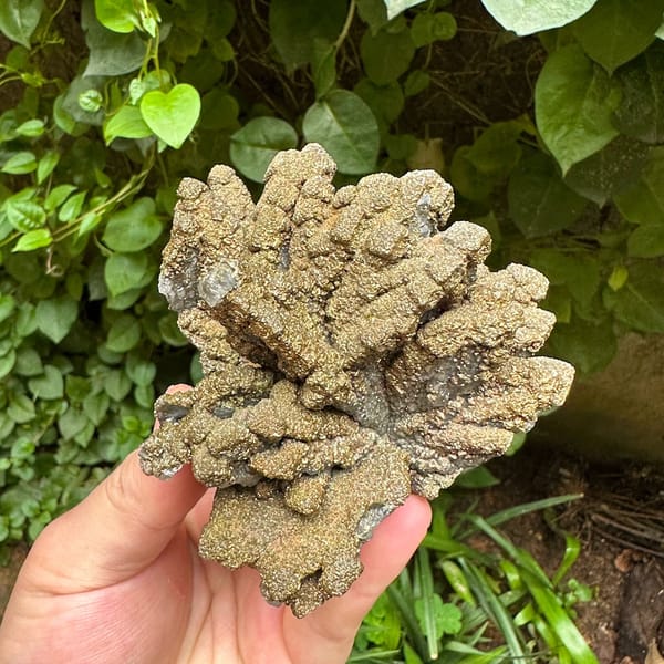 Golden radiating marcasite on calcite plate from Guizhou, China, view 4 of 6