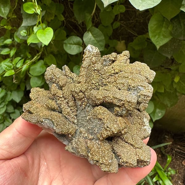 Golden radiating marcasite on calcite plate from Guizhou, China, view 5 of 6