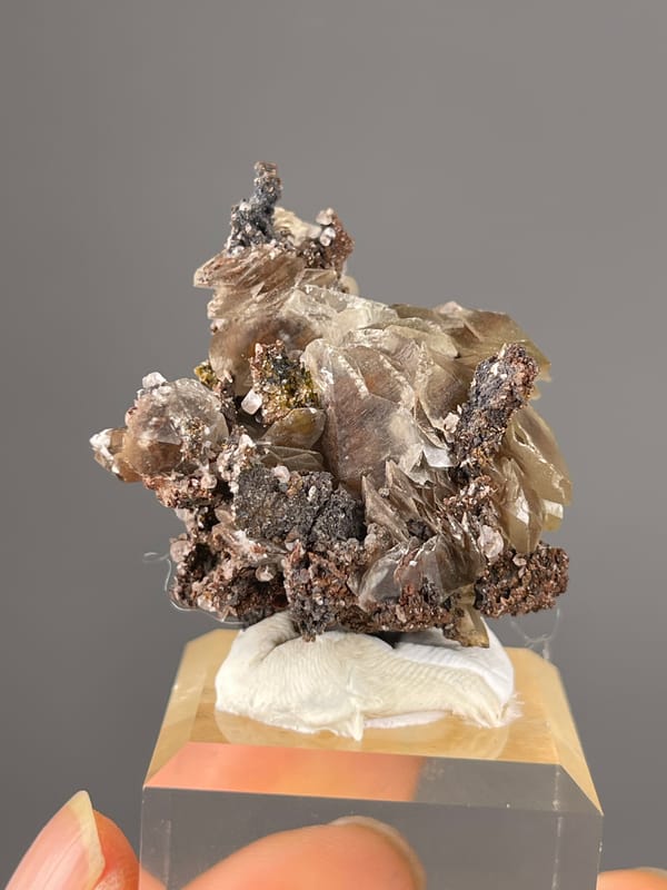 Mercedes-Head Calcite specimen from Fujian, China featuring brown-gray bladed rosettes