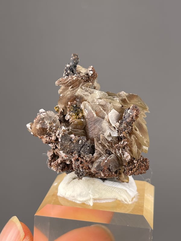 Mercedes-Head Calcite specimen from Fujian, China showing brown-gray bladed rosettes