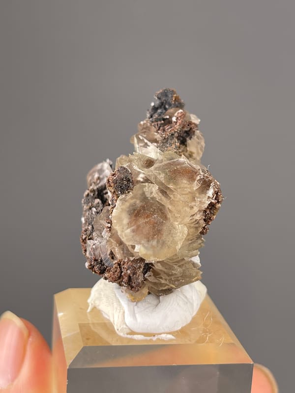 Mercedes-Head Calcite specimen from Fujian, China presenting brown-gray bladed rosettes