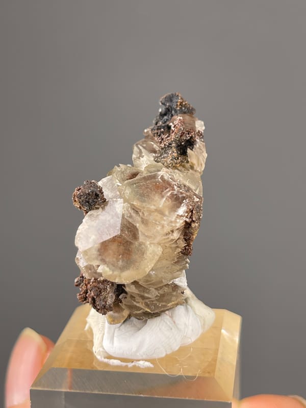 Brown-gray bladed rosettes visible on mercedes-head calcite specimen from Fujian, China