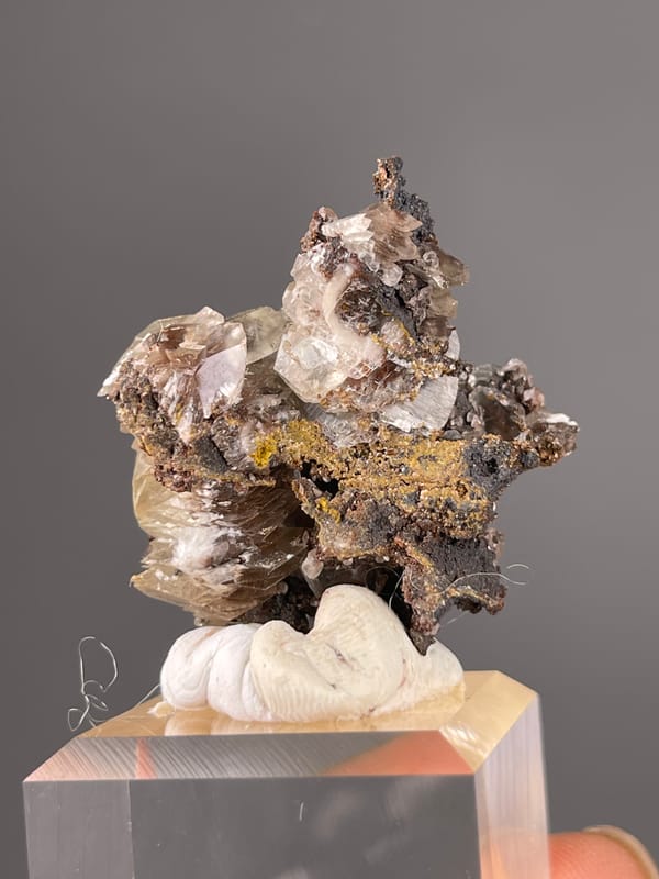 Brown-gray bladed rosettes on natural mercedes-head calcite specimen from Fujian, China