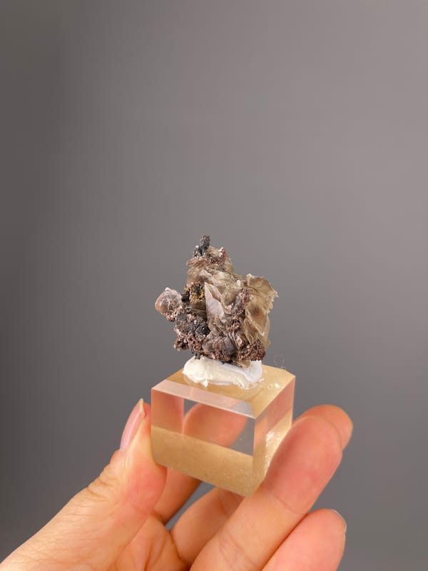 Mercedes-Head Calcite specimen from Fujian, China, characterized by brown-gray bladed rosettes
