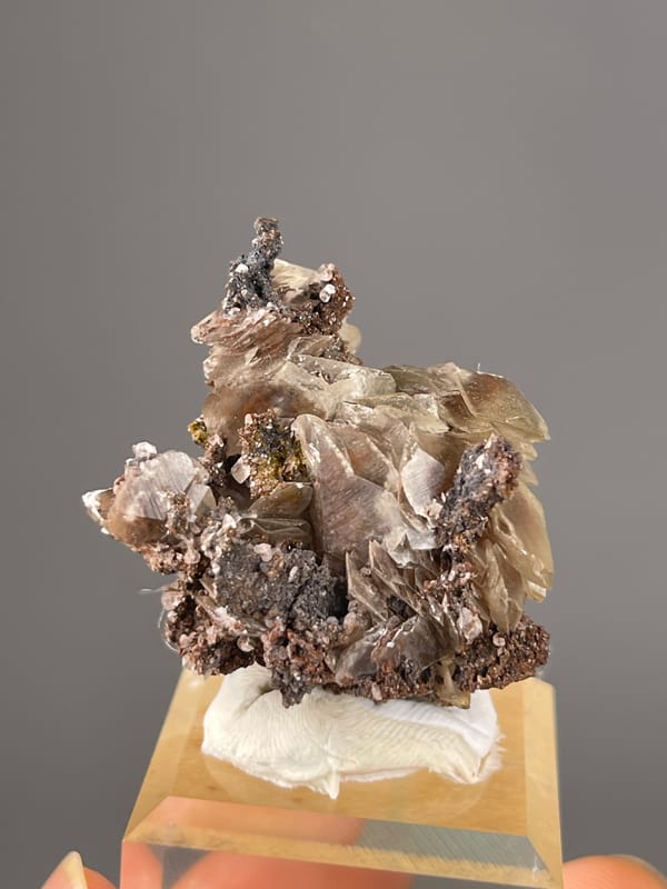 Mercedes-Head Calcite specimen from Fujian, China bearing brown-gray bladed rosettes