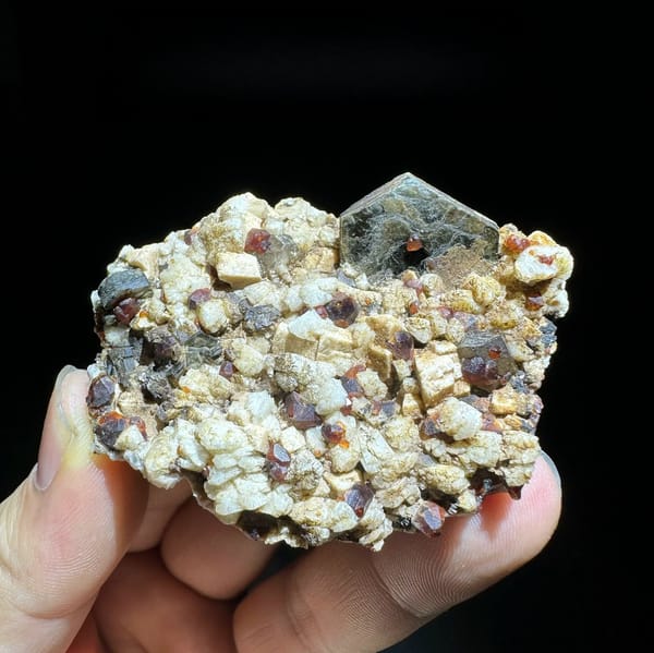 Dark red garnets and black mica on cream feldspar from Yunxiao, Fujian, China