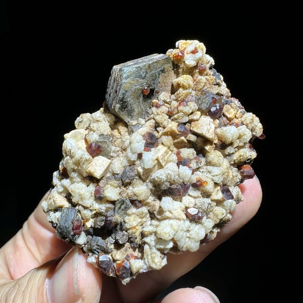 Dark red garnets and black mica on cream feldspar from Yunxiao, Fujian, China, view 3 of 6