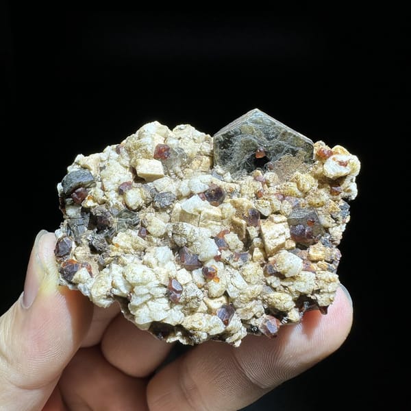 Dark red garnets and black mica on cream feldspar from Yunxiao, Fujian, China, view 6 of 6