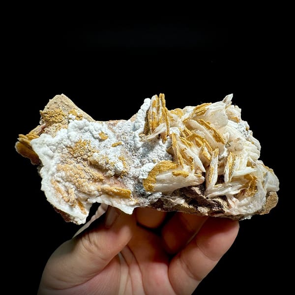 Tan baryte blades and white aragonite with mimetite from Morocco