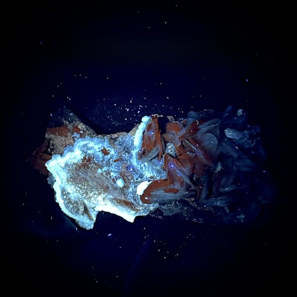 Tan baryte blades and white aragonite with mimetite from Morocco, view 2 of 6