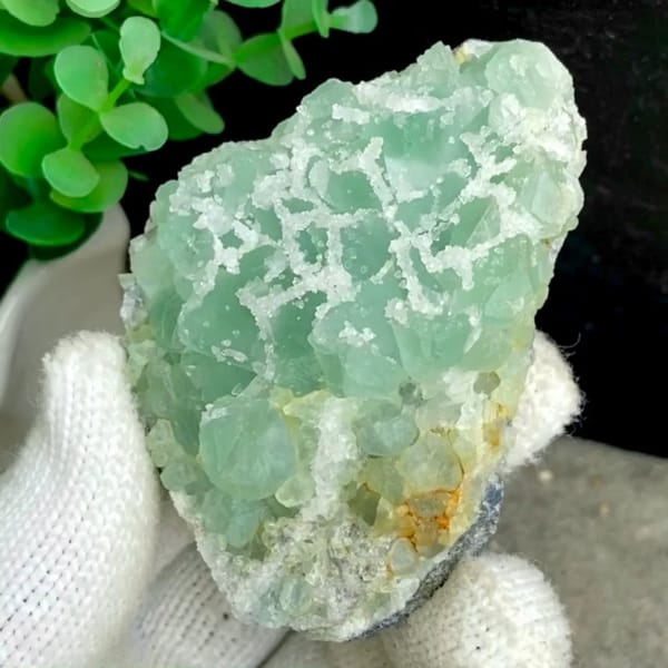 Mint-green sugar fluorite with white druse network from Fujian, China