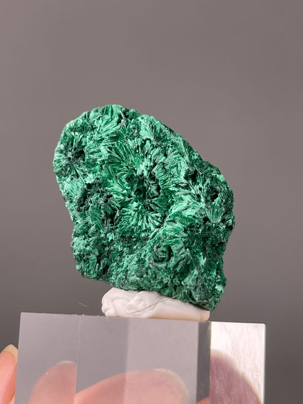 Needle-like Radiating Malachite specimen from Yangchun, Guangdong, China presenting green radiating needle sprays