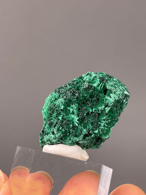 Needle-like Radiating Malachite specimen from Yangchun, Guangdong, China highlighting green radiating needle sprays