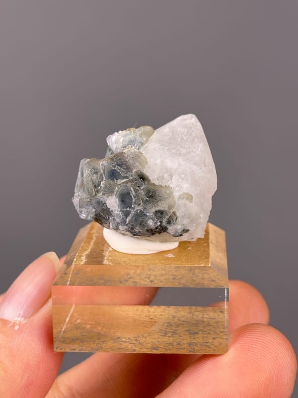 Blue Fluorite with Quartz specimen from Inner Mongolia, China featuring octahedral crystals intergrown with clear quartz