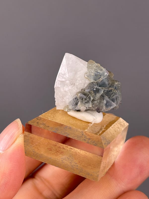 Blue Fluorite with Quartz specimen from Inner Mongolia, China highlighting octahedral crystals intergrown with clear quartz