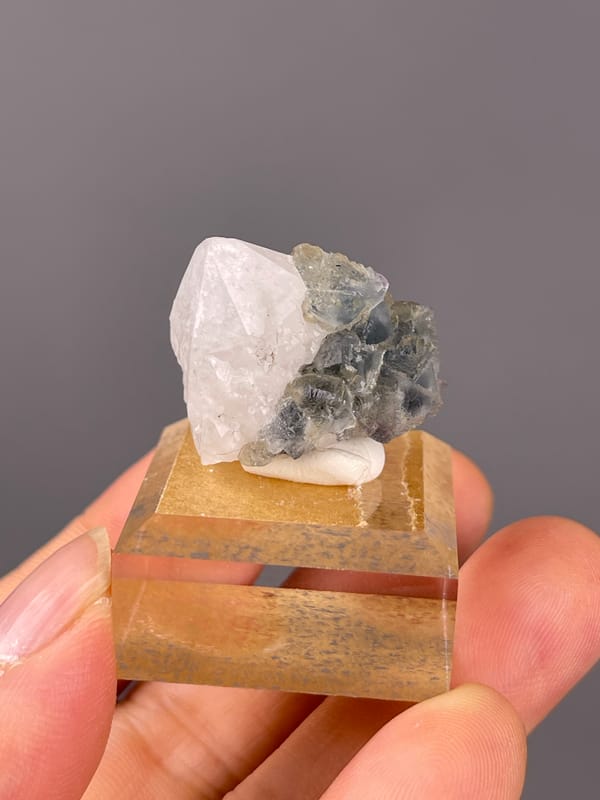 Blue Fluorite with Quartz specimen from Inner Mongolia, China bearing octahedral crystals intergrown with clear quartz