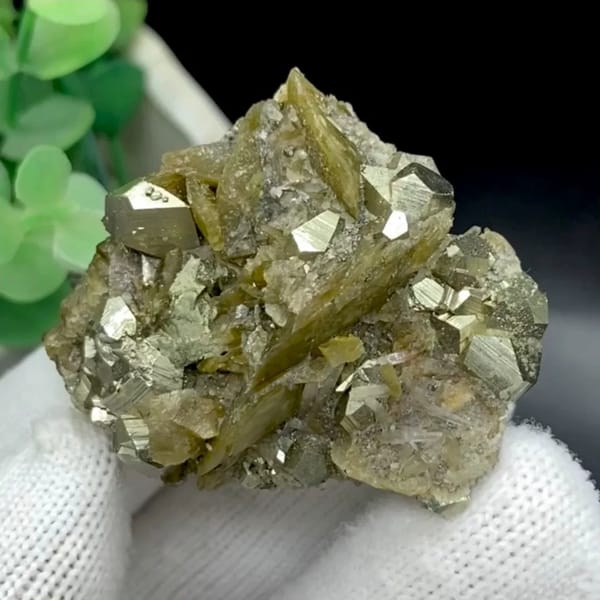 Olive siderite blades studded with pyrite dodecahedra from Guizhou, China