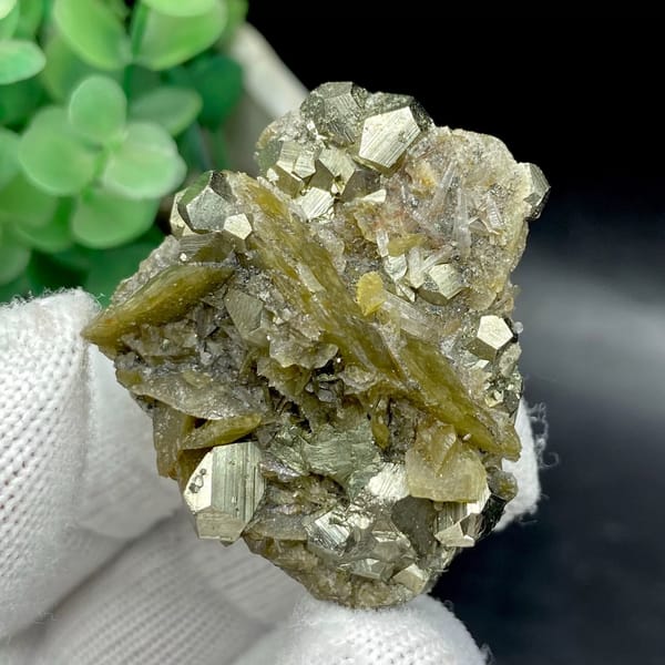 Olive siderite blades studded with pyrite dodecahedra from Guizhou, China, view 7 of 9