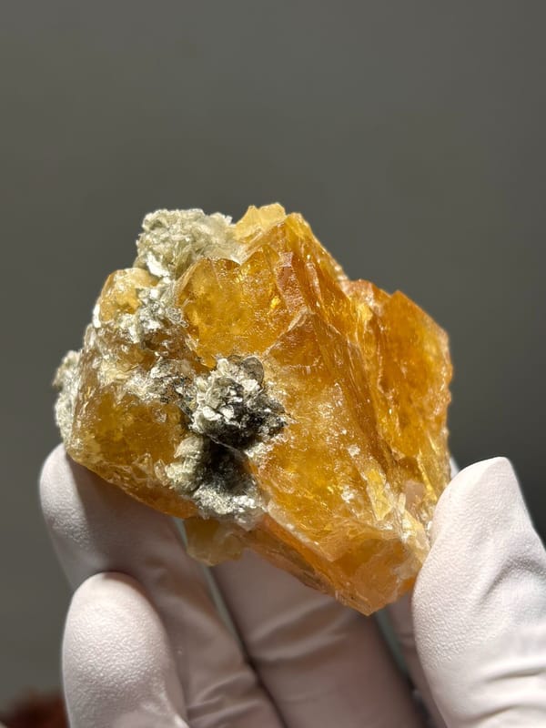 Orange scheelite cluster with mica from Xuebaoding, Sichuan, China, held in gloved hand