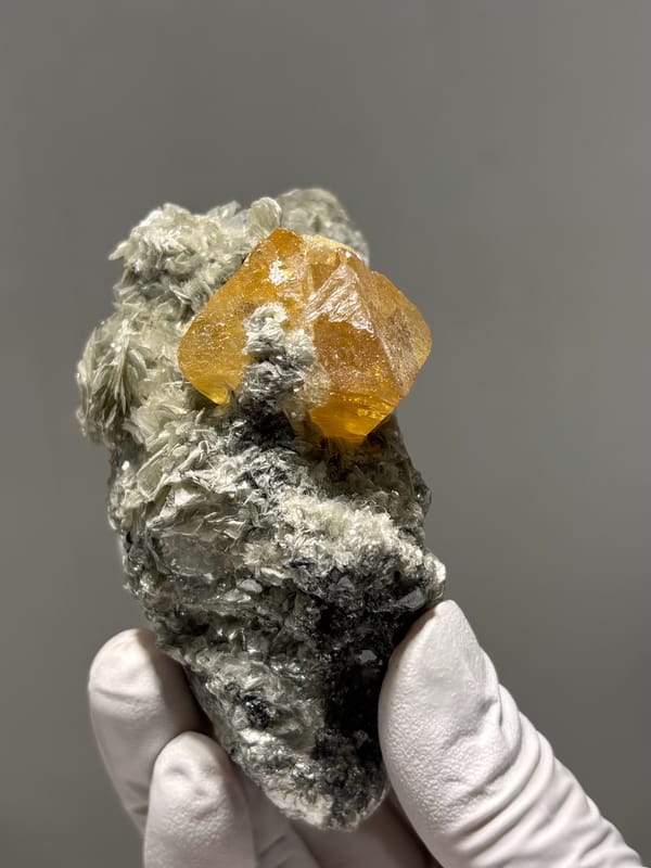 Orange scheelite crystal on dark mica block from Xuebaoding, Sichuan, China, close-up of the crystal faces