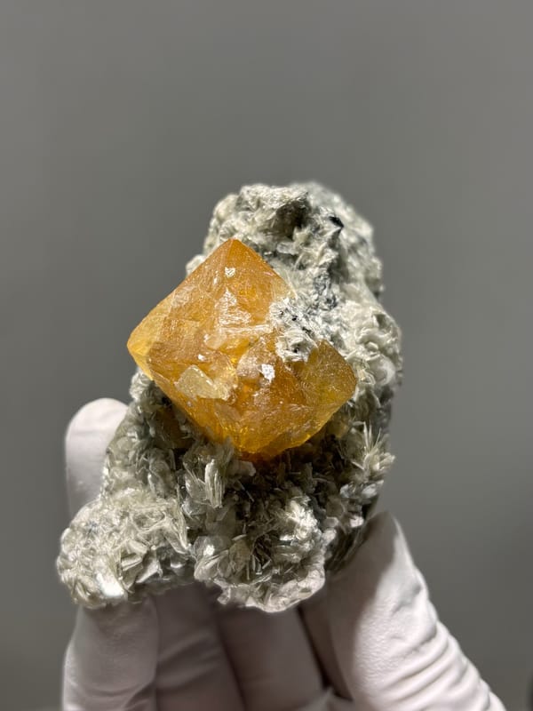 Orange scheelite crystal on dark mica block from Xuebaoding, Sichuan, China, reverse side