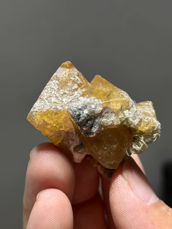 Orange scheelite crystals with white mica from Xuebaoding, Sichuan, China