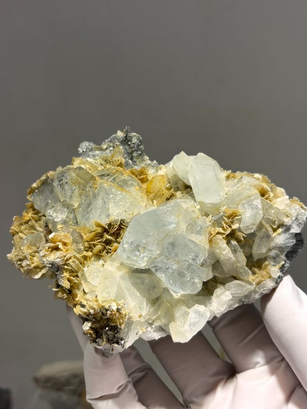 Plate of pale aquamarine crystals on mica from Xuebaoding, Sichuan, China, held in gloved hand