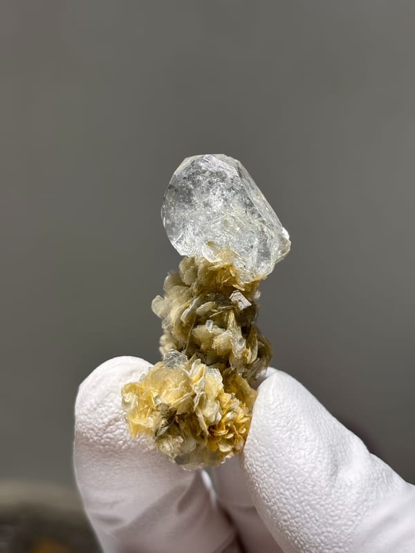 Pale aquamarine crystal on golden mica stalk from Xuebaoding, Sichuan, China, held in gloved hand