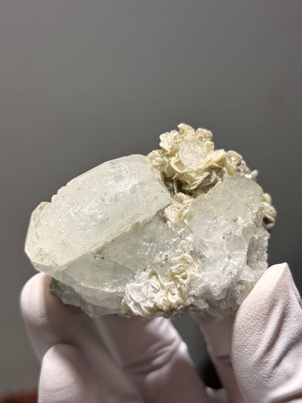 Pale aquamarine on golden mica rosette from Xuebaoding, Sichuan, China, close-up of the crystal faces