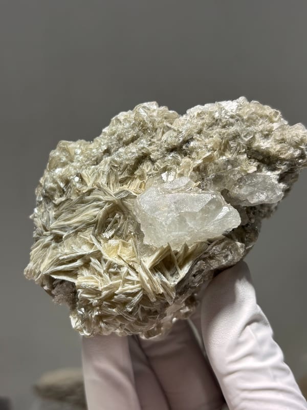 Pale aquamarine on golden mica plate from Xuebaoding, Sichuan, China, held in gloved hand