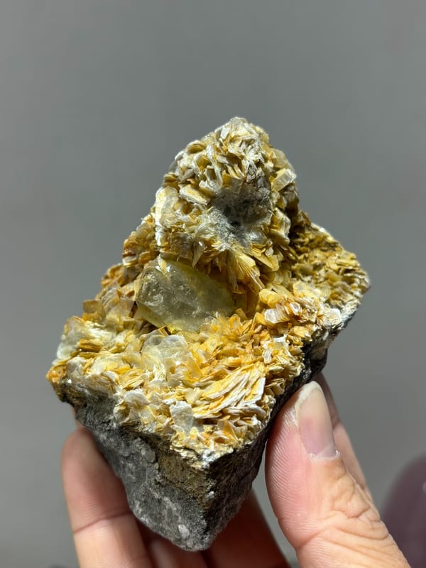 Pale aquamarine set in golden mica rosettes from Xuebaoding, Sichuan, China, held in hand