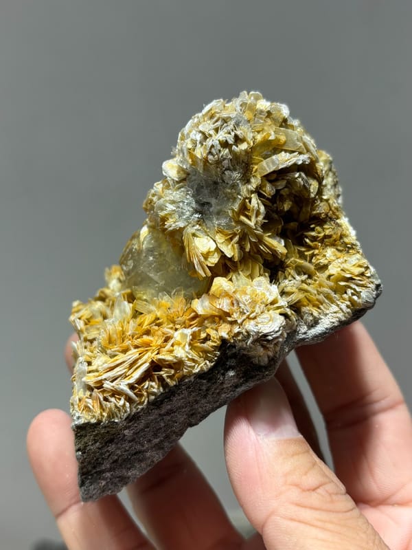 Pale aquamarine set in golden mica rosettes from Xuebaoding, Sichuan, China, second angle