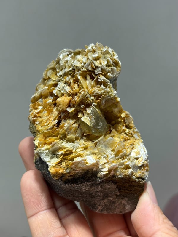 Pale aquamarine set in golden mica rosettes from Xuebaoding, Sichuan, China, close-up of the crystal faces