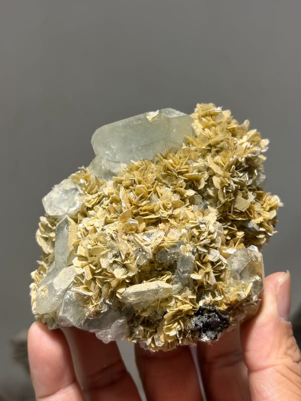 Pale aquamarine in bed of golden mica rosettes from Xuebaoding, Sichuan, China, held in hand