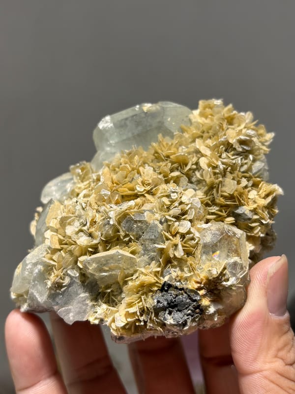 Pale aquamarine in bed of golden mica rosettes from Xuebaoding, Sichuan, China, second angle