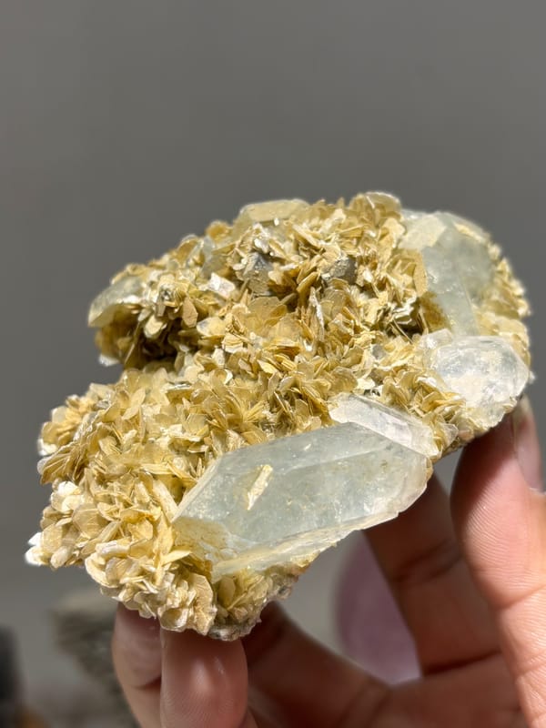 Pale aquamarine in bed of golden mica rosettes from Xuebaoding, Sichuan, China, close-up of the crystal faces