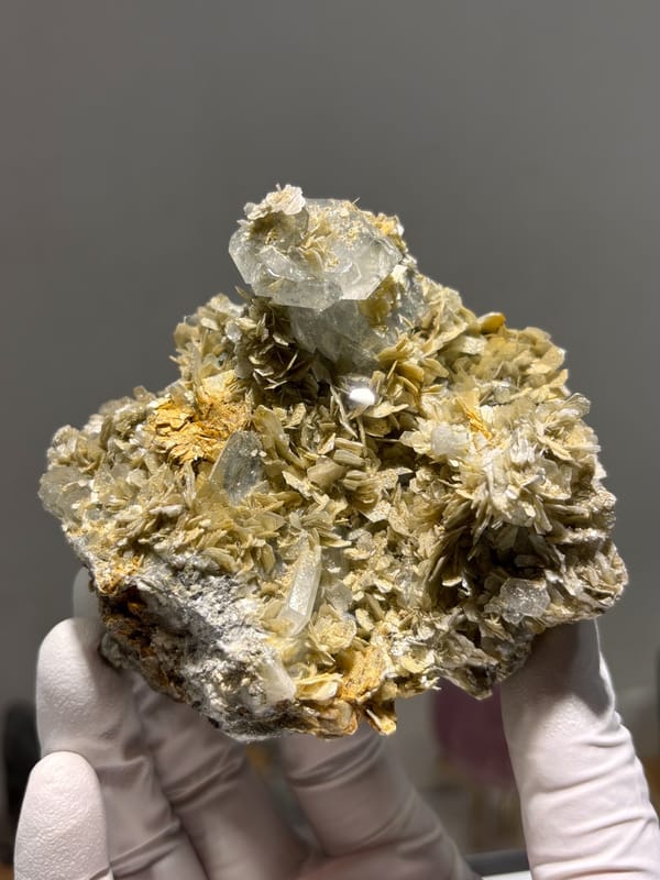 Pale aquamarine crystal atop golden mica rosette plate from Xuebaoding, Sichuan, China, held in gloved hand
