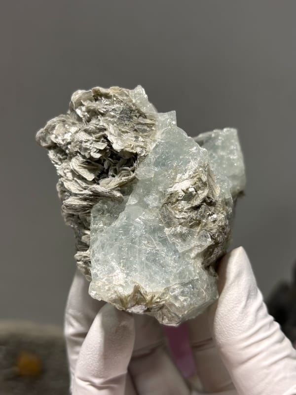 Pale blue aquamarine set in dark mica from Xuebaoding, Sichuan, China, held in gloved hand