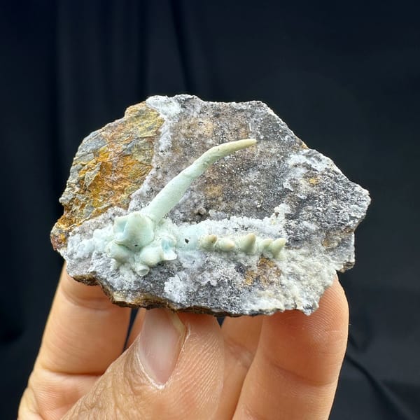 Pale blue aragonite finger on grey rock wedge from Yunnan, China, view 3 of 6