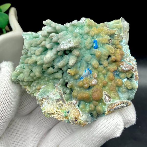 Pale blue botryoidal hemimorphite wrapping quartz from Yunnan, China, view 2 of 9