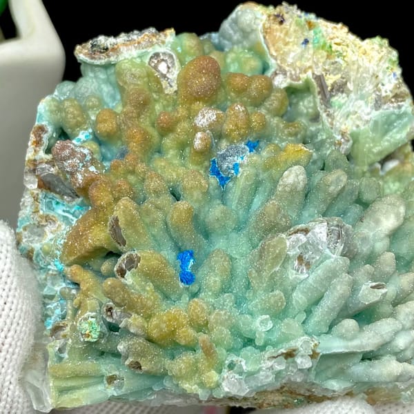 Pale blue botryoidal hemimorphite wrapping quartz from Yunnan, China, view 9 of 9