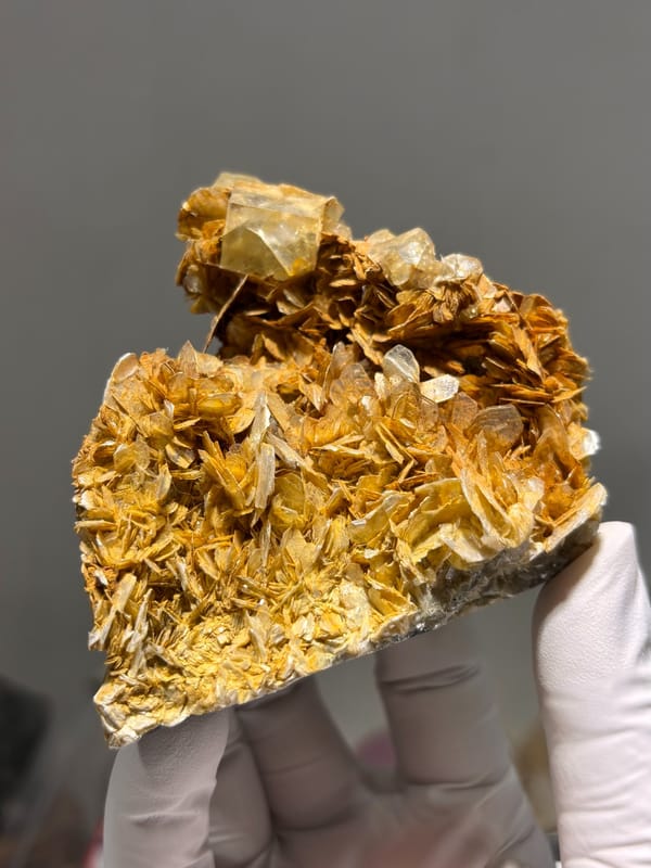 Pale fluorite cubes crowning golden mica plate from Xuebaoding, Sichuan, China, second angle