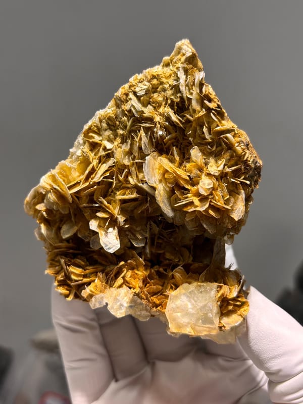 Pale fluorite cubes crowning golden mica plate from Xuebaoding, Sichuan, China, close-up of the crystal faces