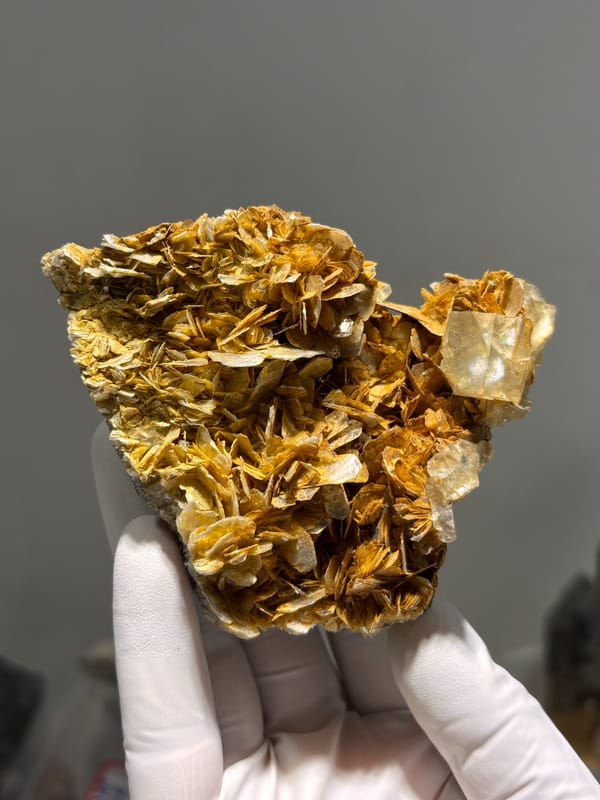 Pale fluorite cubes crowning golden mica plate from Xuebaoding, Sichuan, China, reverse side